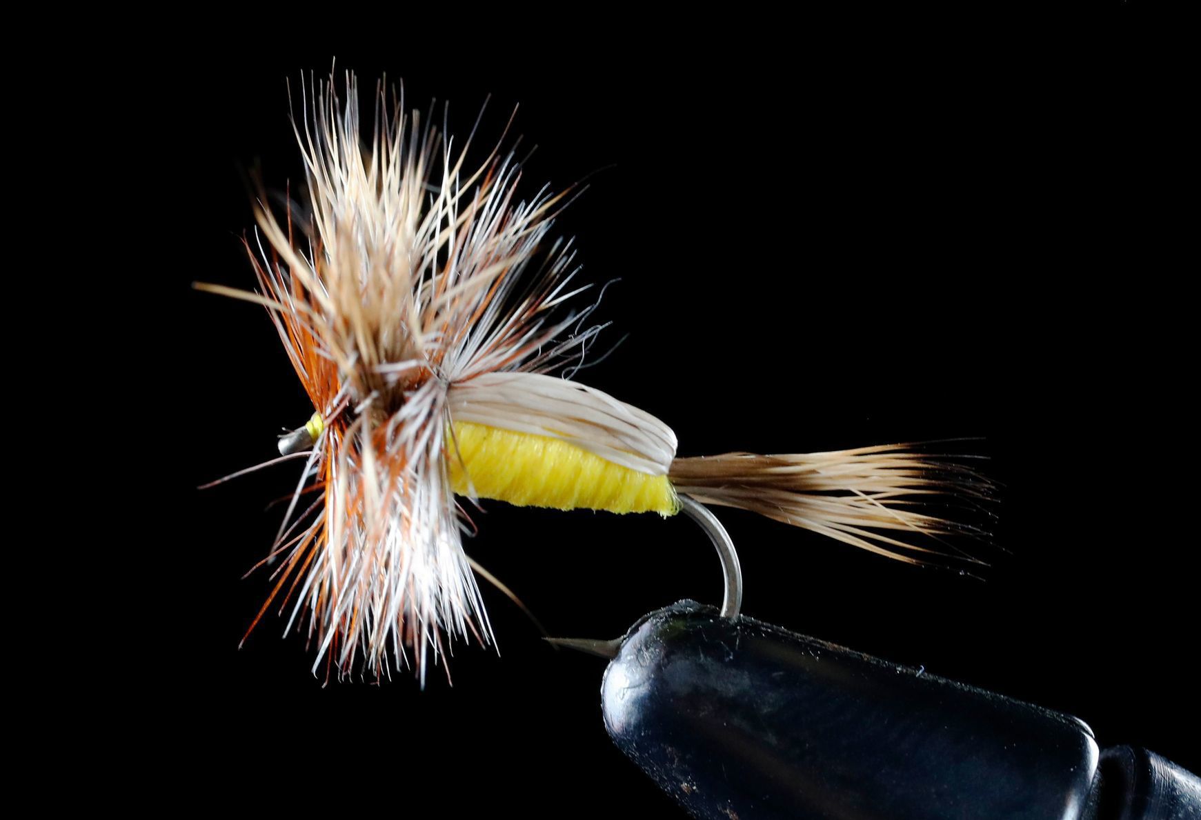 Goofus Bug, or Humpy